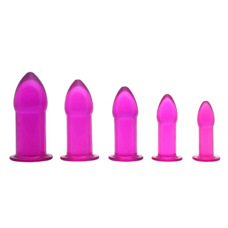 anal toys with flexible tip-5 Piece Anal Trainer Set - Purple