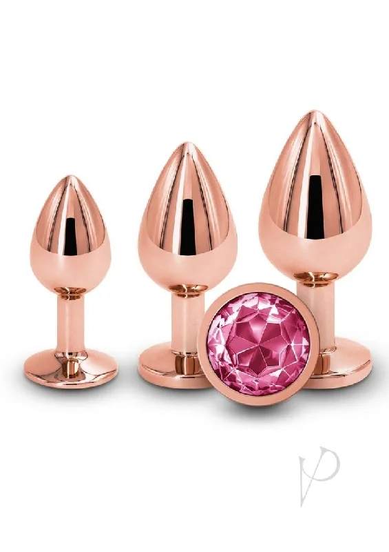 anal toys for couples therapy-Rear Assets Trainer Kit Rose Gold/pink